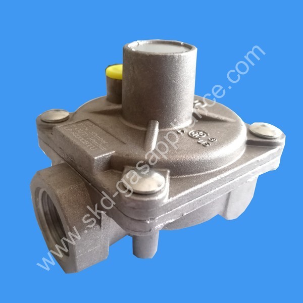 Gas Regulator 102