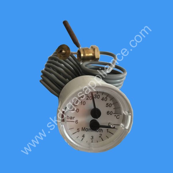 Temperature/Pressure Gauge 02